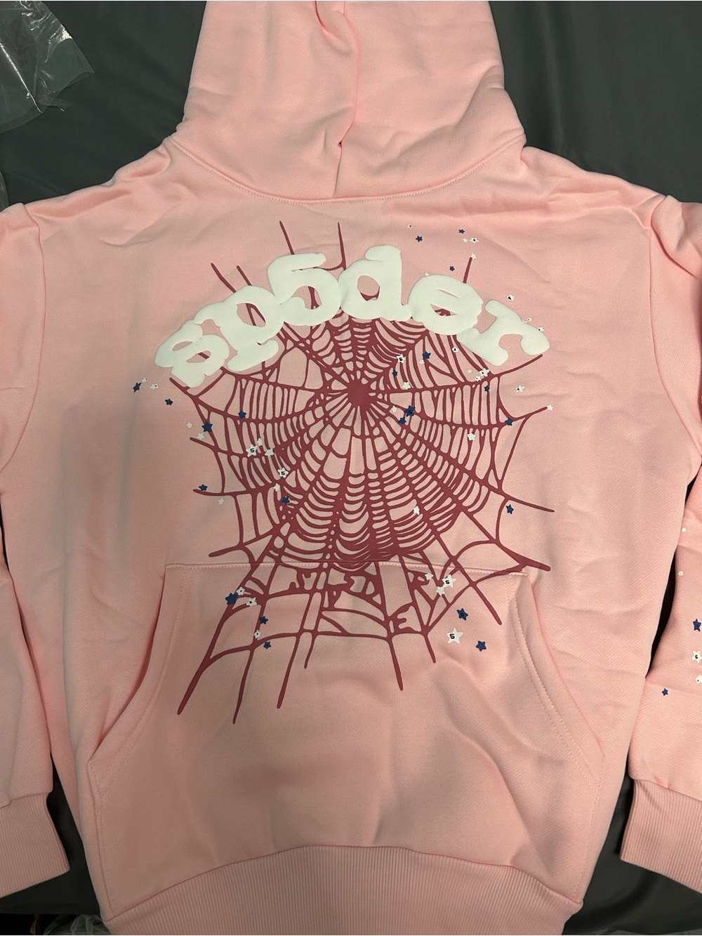 Pink Spiderweb Graphic Hoodie Sweatshirt with Raised Text